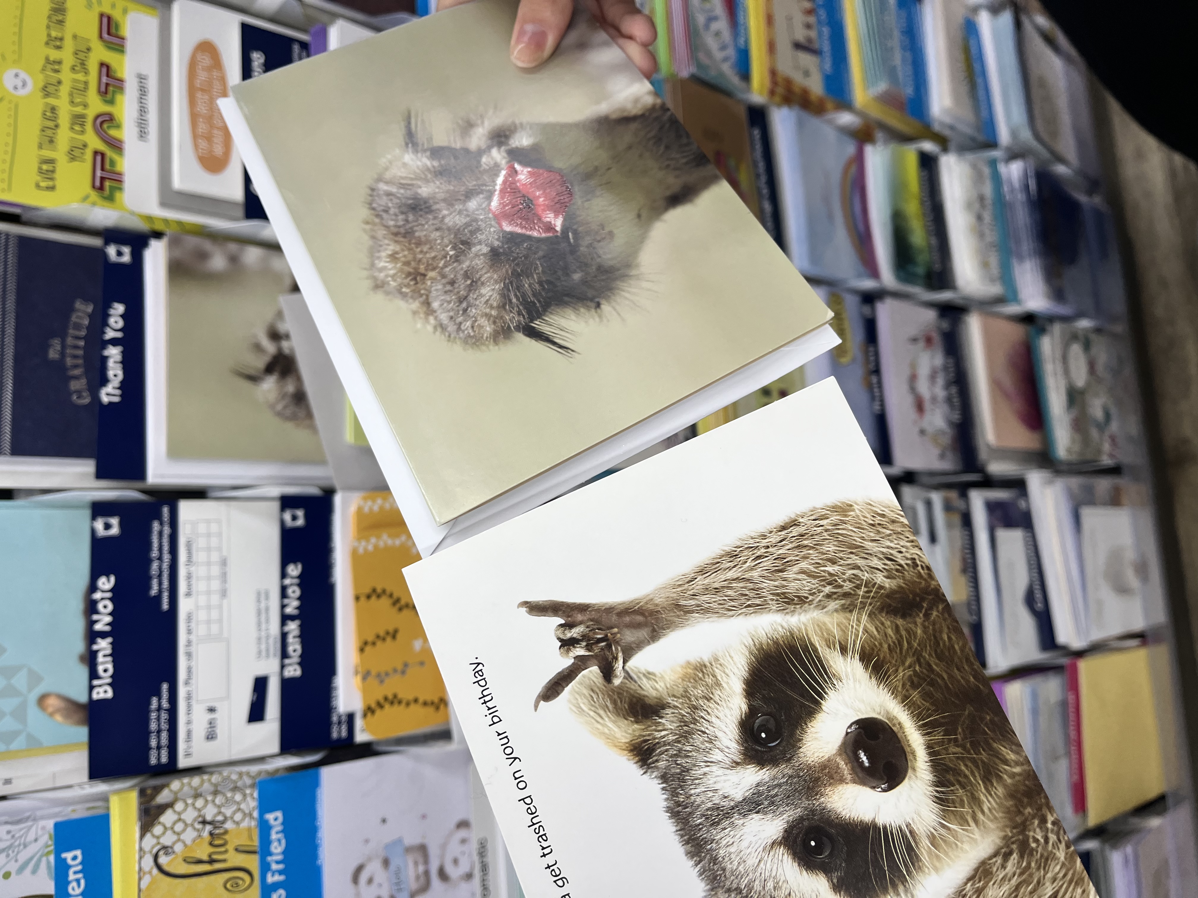 Youngchae Han photo5