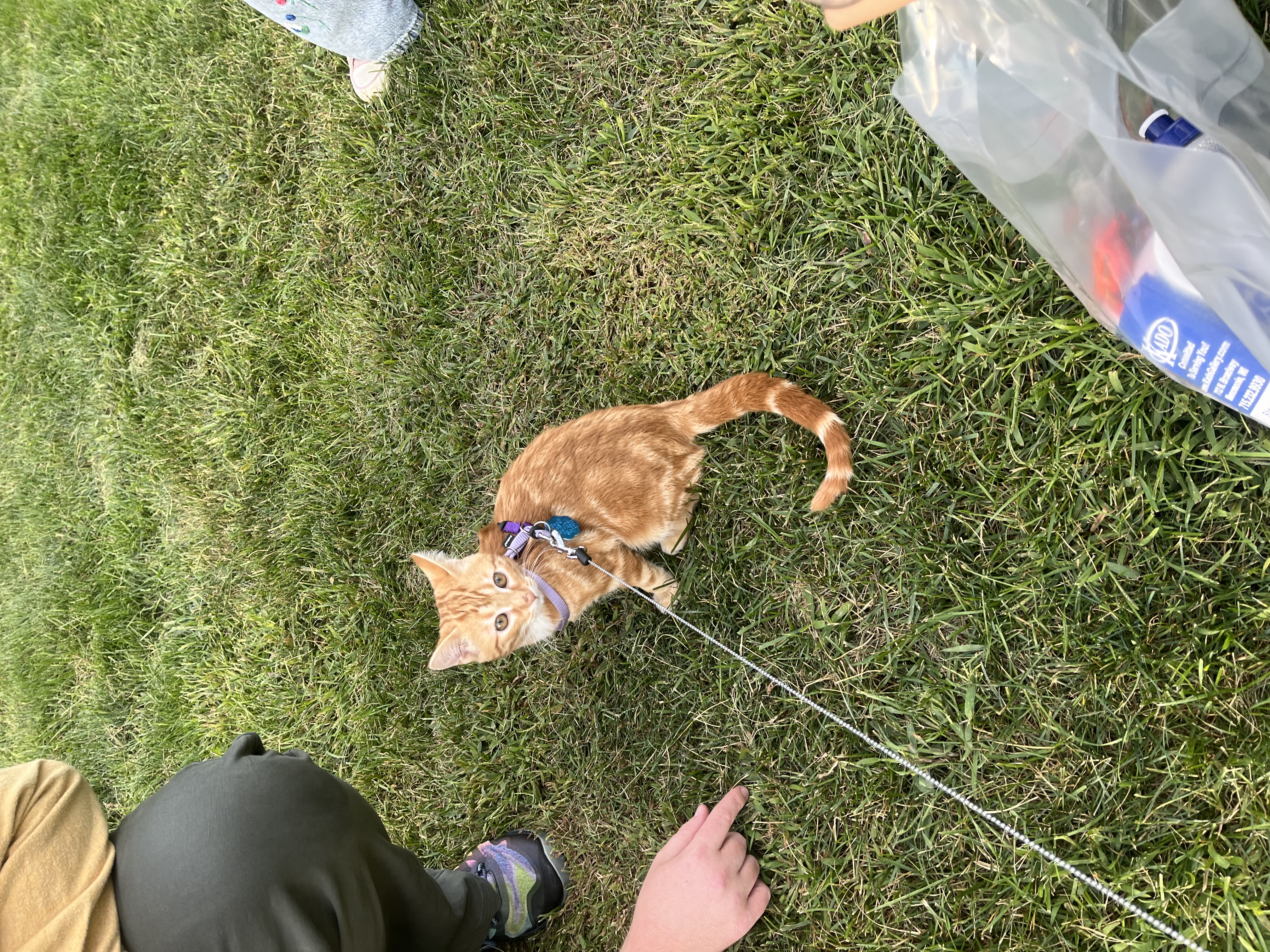 Youngchae Han photo1